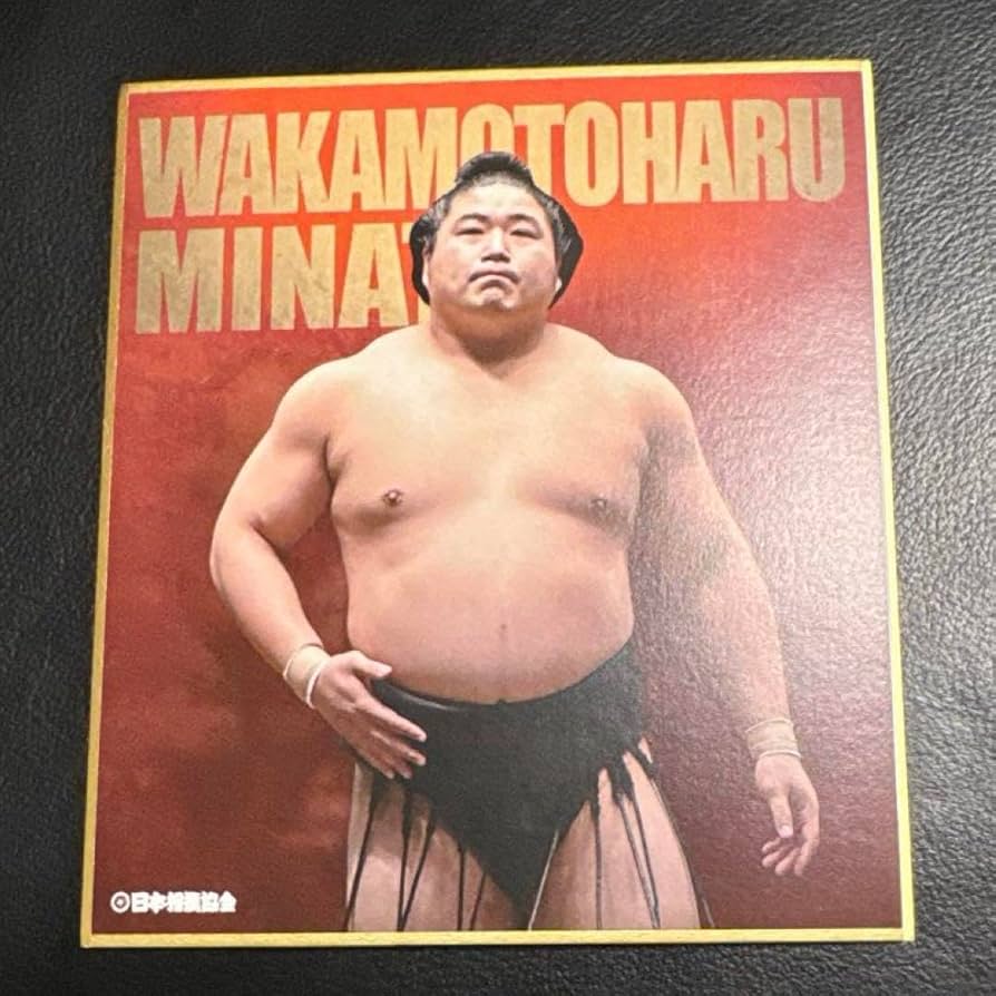 大相撲　若元春　力色紙　vol.4 若元春力色紙vol.4大相撲